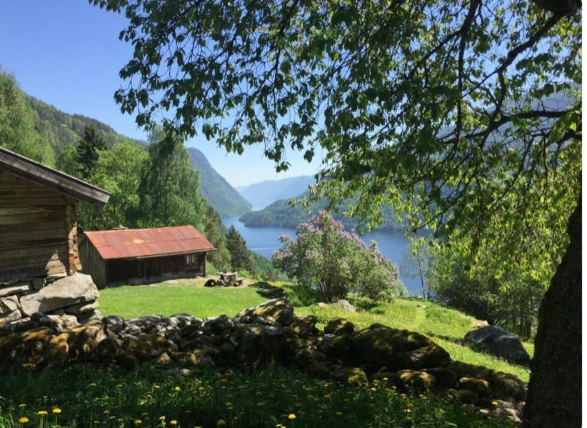 Dalen I Telemark Holiday Home With Garden Exterior foto